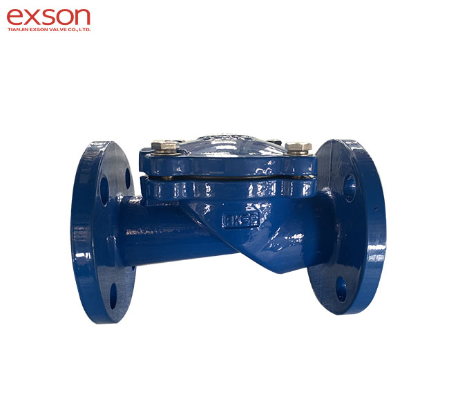 Check valves